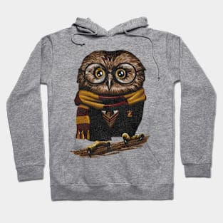 Owl bird wizard Hoodie